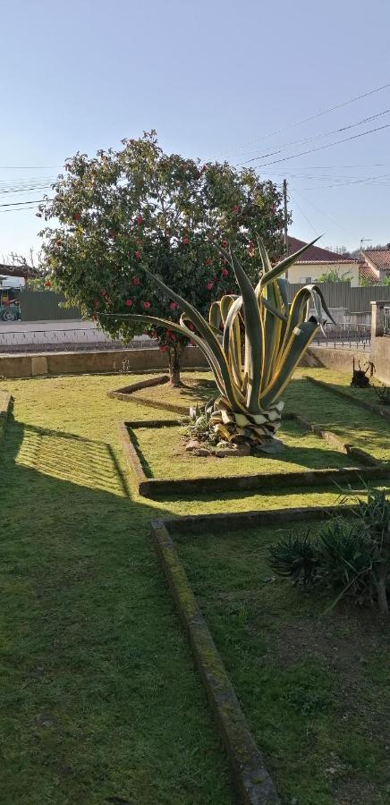 Moradia Santa Comba Villa Santa Comba Dao Dış mekan fotoğraf